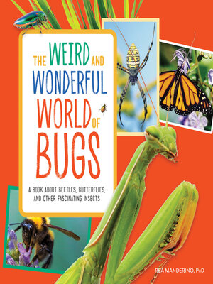 cover image of The Weird and Wonderful World of Bugs